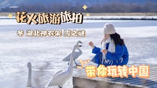 在中国发现了一个宝藏玩雪圣地