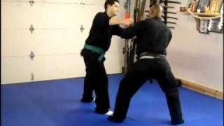 Bujinkan Butoku dojo training # 22