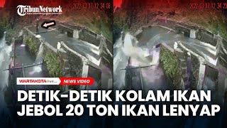 Detik-detik Kolam Ikan Jebol 20 Ton Ikan Lenyap Pemilik Kolam Hanyut