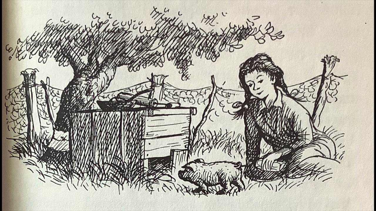 Charlotte S Web Chapter 2 Read Aloud Youtube