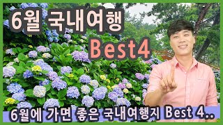 [Talk] 6월에 가면 좋은 국내여행지 베스트4 / 경남 거제도 고성 수국, 부산 태종사 수국, 경기 가평 강원 춘천, 전남 보성, 6월 국내여행 추천