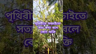 পৃথিবীতে সবচাইতে সত্য কথা বলে কোন ব্যক্তি #walid_saifullah