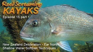 Far North Shallow Water Softbait Fishing And Techniques - RSK Ep 15 part 1