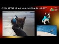 colete salva vidas para pet