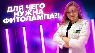 ФИТОЛАМПЫ - ОБМАН ИЛИ НЕОБХОДИМОСТЬ?!