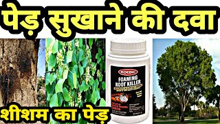 Foaming kill से पेड़ सुखाये || Foaming root kill se ped sukhana