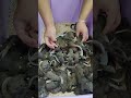 How to raise Chinese mice part 1011