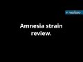 Amnesia strain review.