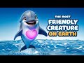 Dive into the Amazing World of Dolphins!🐬||Educational video for kids||