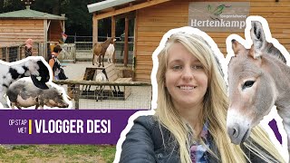 Op stap met vlogger Desi: hertenkamp Enkhuizen