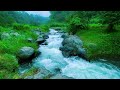 calming river sounds for relaxation stress relief u0026 deep sleep nature soundscape for meditation