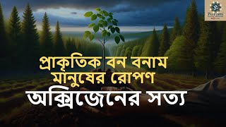 Natural vs Human-Planted Trees: Oxygen Truth (প্রাকৃতিক বন বনাম মানুষের রোপণ: অক্সিজেনের সত্য)