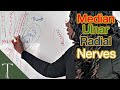 Median, Ulnar, Radial Nerve Roots And Injuries Of Hand | How To Remember!