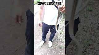 ヘビに噛まれて楽しむ男★ #shorts