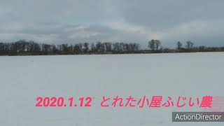 2020.1.12！とれた小屋ふじい農園ワカサギ釣り