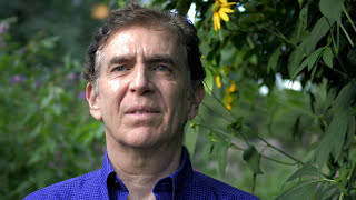 What Is Effortless Mindfulness