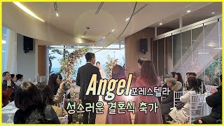 포레스텔라-Angel(엔젤) 부산/울산/대구/창원 결혼식축가 섭외