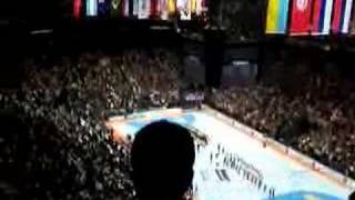Handball World Championship 2007 Final