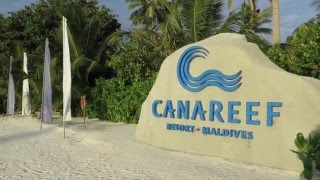 Sub-Oceanic Dive Club Canareef - this is us!