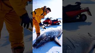 This Hero Saved a Polar Whale's Life in the Most Amazing Way