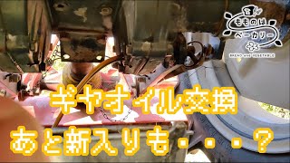 【トラクター 】どっから入れるんだこれ？ギヤオイル交換【メンテナンス】