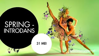 SPRING | INTRODANS | 31 MEI | WILMINKTHEATER | TEASER