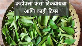 कडीपत्ता जास्त दिवस टिकावा म्हणून कसा साठवायचा | How to store kadipatta for long