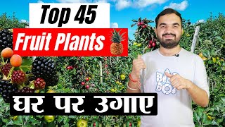 Top 45 Fruit Plants for Your Home Garden | Top fruits plant | Home kitchen garden plantation #kheti