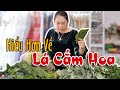 Các Loại Lá Cắm Hoa Phổ Biến Nhất Hiện Nay - Cắm Hoa Đẹp #6 | Ánh Vlog (4K)