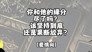 塔罗占卜 ｜ 无时限 ｜你和TA的缘分尽了吗？该坚持到底还是果断放弃？