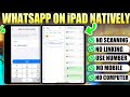 WhatsApp for iPad: No Phone, No Scan Required (Run Natively)