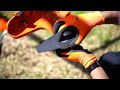 Débroussailleuse thermique FS 55 | STIHL Tunisie