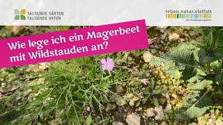 Wie lege ich ein Magerbeet mit Wildstauden an?