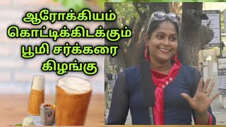 பூமி சர்க்கரை கிழங்கு/ NO SUGAR ISSUES..