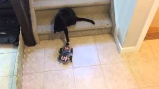Comp 444 - Final Project: Rover A