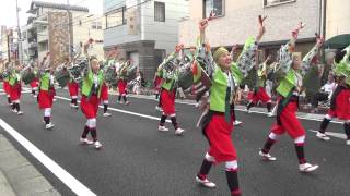 【帯屋町筋】第59回よさこい祭り本祭1日目（愛宕競演場】2012.8，10