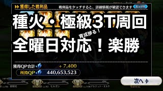 【FGO】種火極級3T周回！種火集めにもってこい！参考にどうぞ！