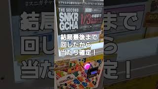 絶対に欲しいスニーカーが当たるガチャ動画！　#shorts #ガチャ動画 #3000円ガチャ