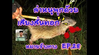 สั่นตอกเรียกหนูพุก หมายริมถนน 2แต้มหมานๆ EP.28 อ๊อบ ออร์โต้ HunterStory