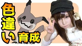 【ポケモンサンムーン実況】シングルレートの為に色違いミミッキュを効率的に育成するよ【Pokémon Sun and Moon】