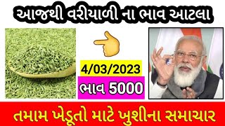 આજથી વરિયાળી ના ભાવ આટલા જુઓ 4/03/2023