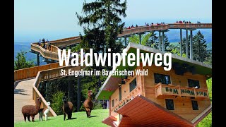 Waldwipfelweg Bayerischer Wald | Natascha onAir