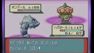 ポケモン　サファイア　低レベル+制限付きポケモンリーグ制覇　part9 of 11　ダイゴ戦(1/3)