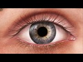 Pupil reactions [HD]