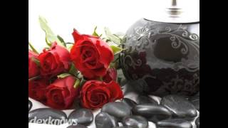 Adams-Winterfield & Sullivan Funeral Home & Cremation Services Downers Grove IL 60515-2845