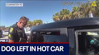 Dog left in hot car, woman arrested