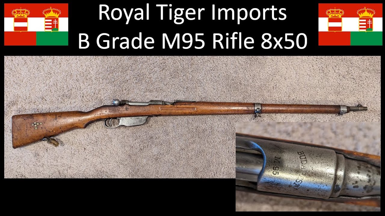 Royal Tiger Imports B Grade M95 Rifle | Cleaning And Reassembly - YouTube