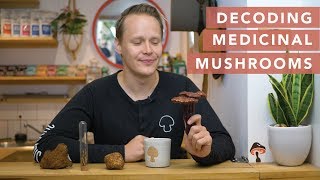 A medicinal mushroom guide from Four Sigmatic's founder