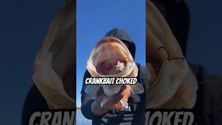 Big Bass CHOKES The Pressure Series CRANKBAIT  #crankbait #bassfishing