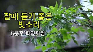 잘때 듣기 좋은 빗소리/ 5분후 화면꺼짐